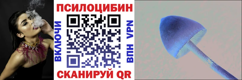 Галлюциногенные грибы Psilocybe Николаевск-на-Амуре
